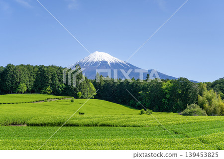 Sugita Tea Plantation, Fujinomiya City, Shizuoka Prefecture Sugita Tea Plantation, Fujinomiya City, Shizuoka Prefecture 139453825
