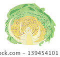 精緻的捲心菜插圖（透明背景） 139454101