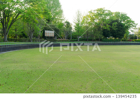 Fresh green ground Fresh green ground 139454235