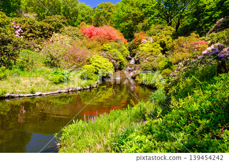 A garden with a pond 139454242