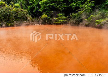 Beppu Hell Tour: Blood Pond Hell [Beppu City, Oita Prefecture] 139454538
