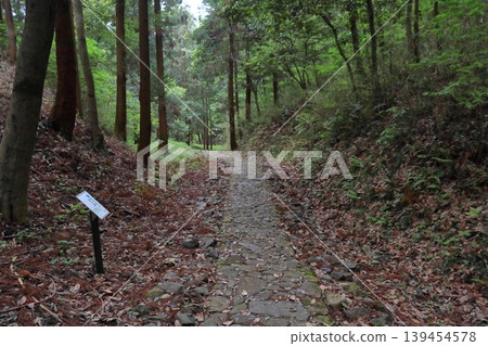 Akechi Castle, Kikyo-zaka hiking trail (Kani City, Gifu Prefecture) Akechi Castle, Kikyo-zaka hiking trail (Kani City, Gifu Prefecture) 139454578
