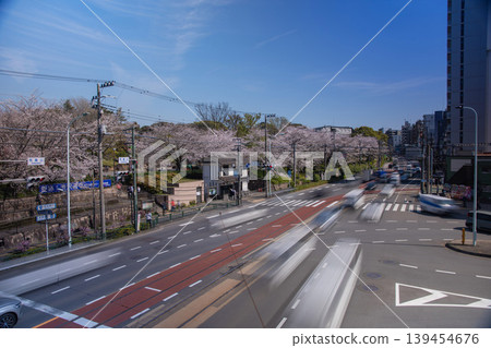 櫻花盛開時分，飛鳥山路口的交通狀況 [交通圖] 139454676