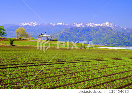 Rural landscape in early summer Rural landscape in early summer 139454683