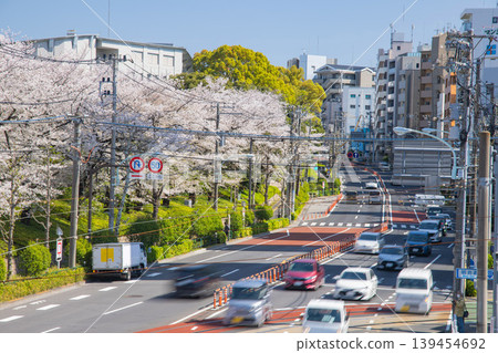 櫻花盛開時分，飛鳥山路口的交通狀況 [交通圖] 139454692