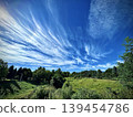 Blue sky, white clouds and green trees 139454786