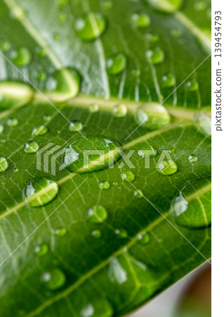 Water droplets Water droplets 139454793