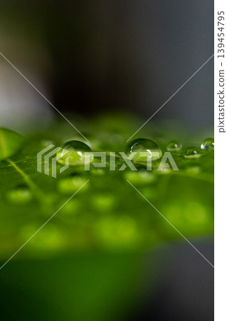 Water droplets Water droplets 139454795