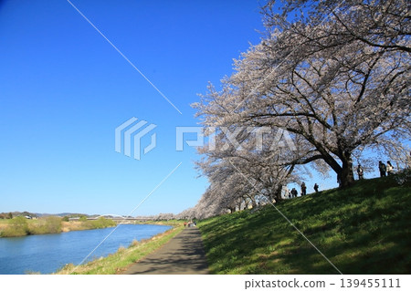 河流：白石川 139455111