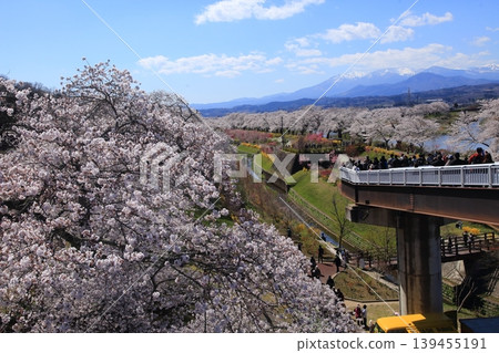 Sakura First Senbonzakura 139455191