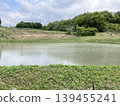 Rice field just finished rice planting 139455241