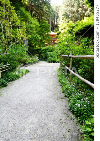 Spring scenery within the grounds of Iwashinji Temple 139455277