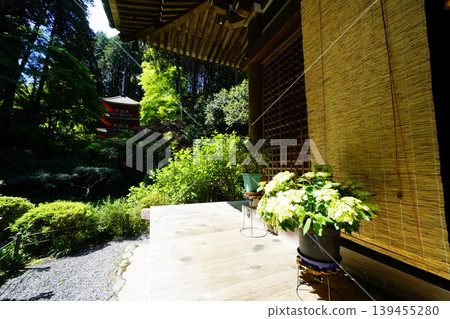 Spring scenery within the grounds of Iwashinji Temple Spring scenery within the grounds of Iwashinji Temple 139455280
