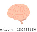 一張代表大腦的插圖 139455830