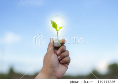 Renewable energy concept Earth Day or environment protection Hands protect forests that grow on the ground and help save the world. 139455886
