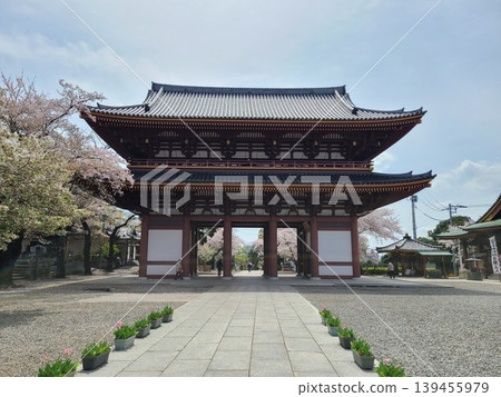 Ikegami Honmonji Nishioon Ikegami Honmonji Nishioon 139455979