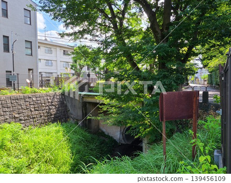 Sasazuka Inari Bridge Sasazuka Inari Bridge 139456109