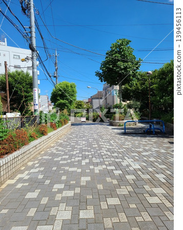 Tamagawa Kamimizu second green road Tamagawa Kamimizu second green road 139456113
