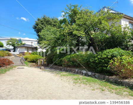 In front of Meiji University Izumi Campus In front of Meiji University Izumi Campus 139456386