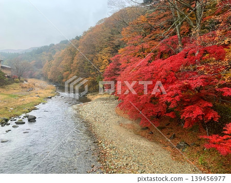 河川與秋葉的交融 河川與秋葉的交融 139456977