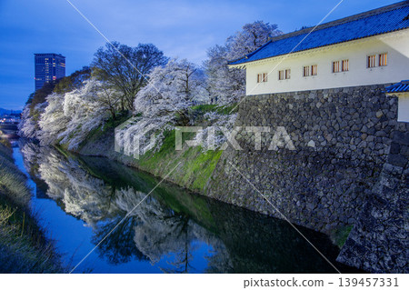 Cherry blossom light-up Cherry blossom light-up 139457331
