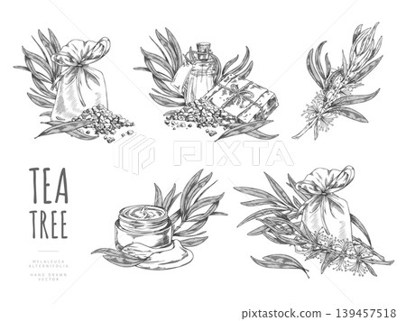 Tea tree branch, soap and oil jug, sachet bag and granules sketch, vector engraved organic cosmetics, tea drink products 139457518