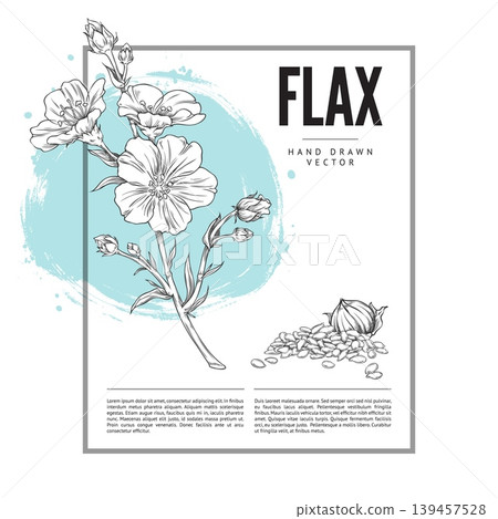 A black and white poster with flowers, buds, seeds, and a flax seed capsule, hand-drawn. A black and white poster with flowers, buds, seeds, and a flax seed capsule, hand-drawn. 139457528