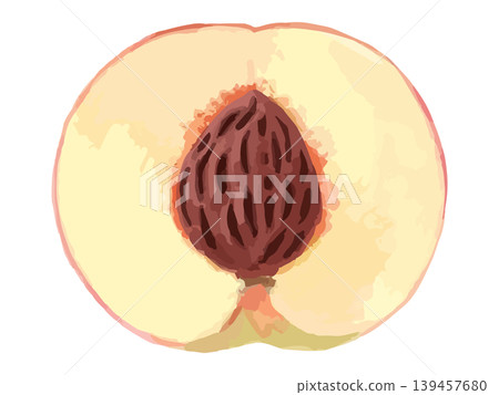 切成兩半的桃子(帶核) 切成兩半的桃子(帶核) 139457680