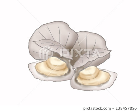 Illustration of a scallop with its shell attached Illustration of a scallop with its shell attached 139457850