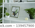 Modern white bookshelf decorated with green plants, art frame, and aesthetic ornaments. 139457900