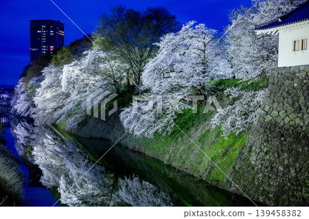 Cherry tree light up Cherry tree light up 139458382