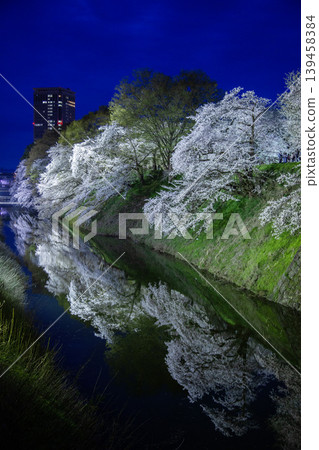 Cherry tree light up Cherry tree light up 139458384