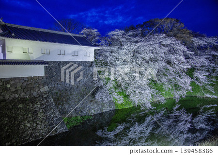 Cherry tree light up Cherry tree light up 139458386