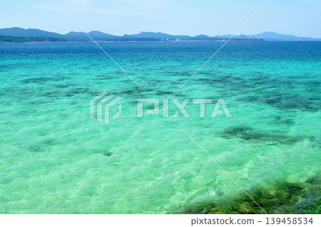 美麗的清澈藍色大海 / 沖繩縣名護市 美麗的清澈藍色大海 / 沖繩縣名護市 139458534