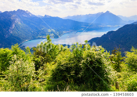 Breathtaking aerial view of Lake Thun and Swiss Alps from Harder Kulm viewpoint, Switzerland Breathtaking aerial view of Lake Thun and Swiss Alps from Harder Kulm viewpoint, Switzerland 139458603