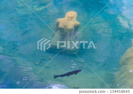 Underwater statue of young girl in Blausee lake (Blue Lake) in Bernese Oberland, Kandergrund, Switzerland 139458645