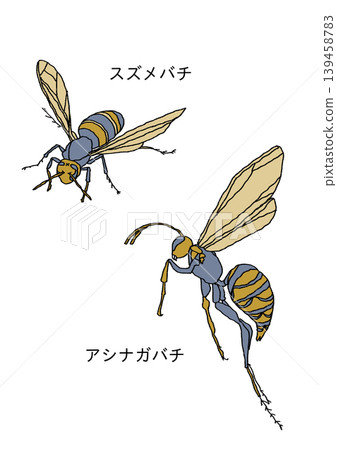 一隻蜜蜂 139458783