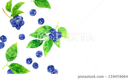 藍莓果實和葉子背景 - 手繪水彩插畫素材 藍莓果實和葉子背景 - 手繪水彩插畫素材 139459064