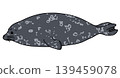 海豹（側視圖） 139459078