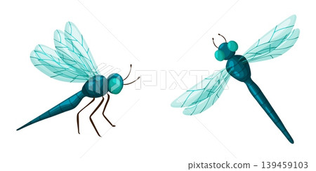 Two Teal Blue Dragonflies Set Illustration Clipart Two Teal Blue Dragonflies Set Illustration Clipart 139459103