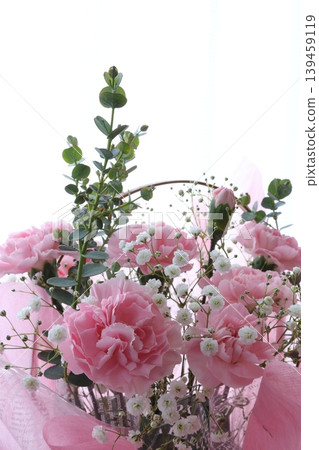 Pink carnation Pink carnation 139459119