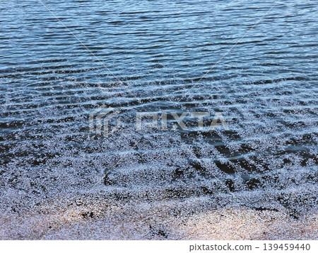 The calm surface of the lake in late spring The calm surface of the lake in late spring 139459440