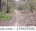Dirt path leading through a spring forest. 139459582
