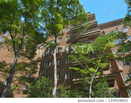 A lush, upscale apartment building in Hiroo: Urban landscape (May 2026) A lush, upscale apartment building in Hiroo: Urban landscape (May 2026) 139459605