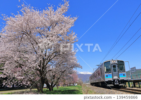 Oito Line Sakura Blooming Kita-Omachi Station Oito Line Sakura Blooming Kita-Omachi Station 139459866