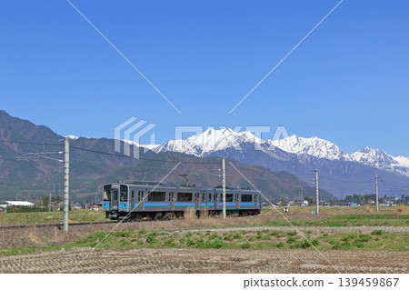 Otoro Line Spring Northern Alps Foothills Otoro Line Spring Northern Alps Foothills 139459867