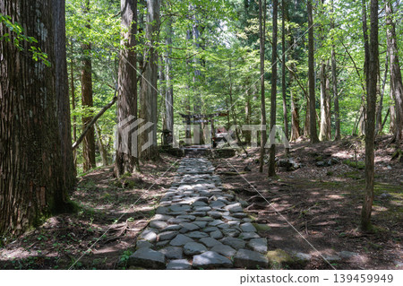 瀧尾神社（日光）的吉祥鳥居 139459949