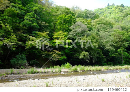 【神奈川縣】綠樹環繞的水澤川 【神奈川縣】綠樹環繞的水澤川 139460412