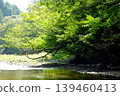 【神奈川縣】水澤川潺潺流水，綠樹環繞 139460413
