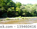 【神奈川縣】水澤川河床，綠意盎然。 139460416
